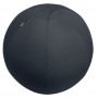 Leitz Aktiivipallo lisäpainolla 65 cm tummanharmaa | Euro Toimistotukut Oy