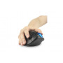 Kensington Pro Fit® Ergo TB450 Trackball pallohiiri  sininen | Euro Toimistotukut Oy