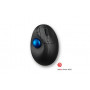 Kensington Pro Fit® Ergo TB450 Trackball pallohiiri  sininen | Euro Toimistotukut Oy