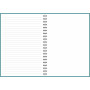 Diario Horizontal, turkoosi