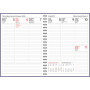 Diario Vertical, liila