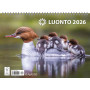 Luonto